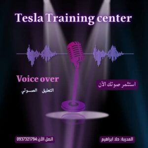 التعليق الصوتي